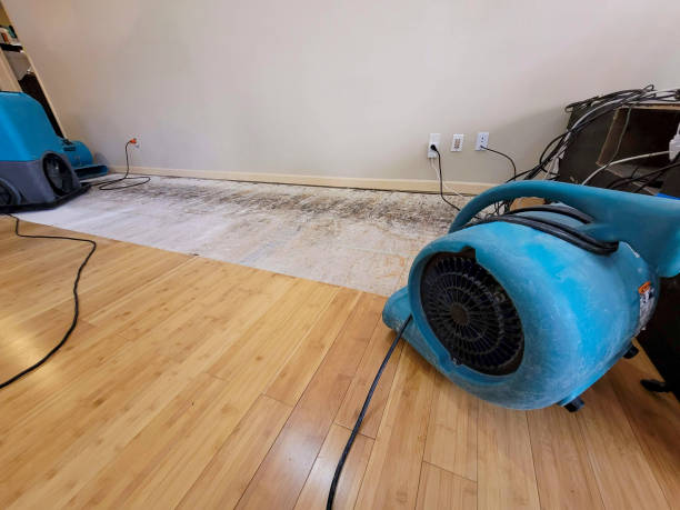 Professional Water Damage Repair technician working in Attleboro, MA